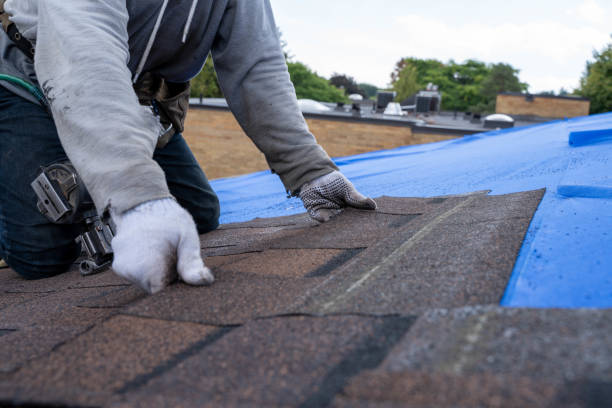 Best Commercial Roofing Services  in Detroit Lakes, MN