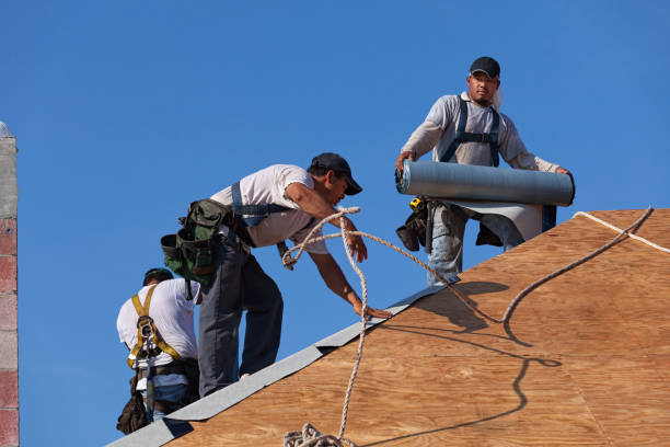 Best Roof Replacement Cost  in Detroit Lakes, MN