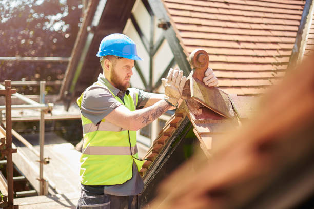 Best Metal Roofing Contractor  in Detroit Lakes, MN