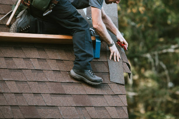 Best Roof Replacement Cost  in Detroit Lakes, MN