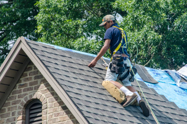Best Roofing Contractors for Homes  in Detroit Lakes, MN