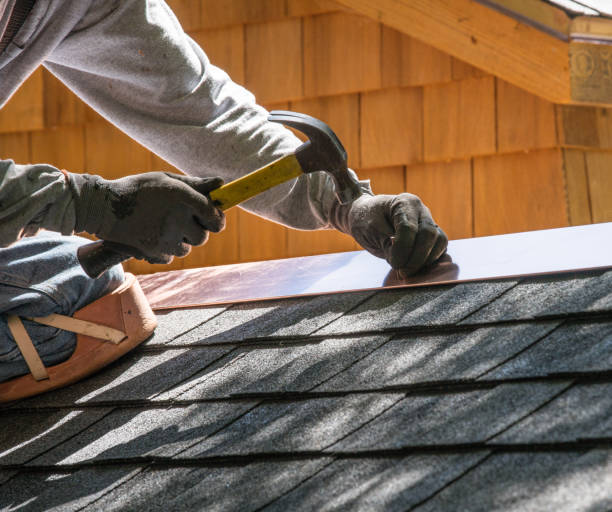 Best Flat Roof Repair Services  in Detroit Lakes, MN